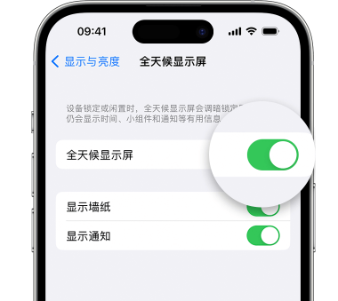 邯郸苹果15预约维修分享iPhone15如何设置全天候显示屏幕可见 